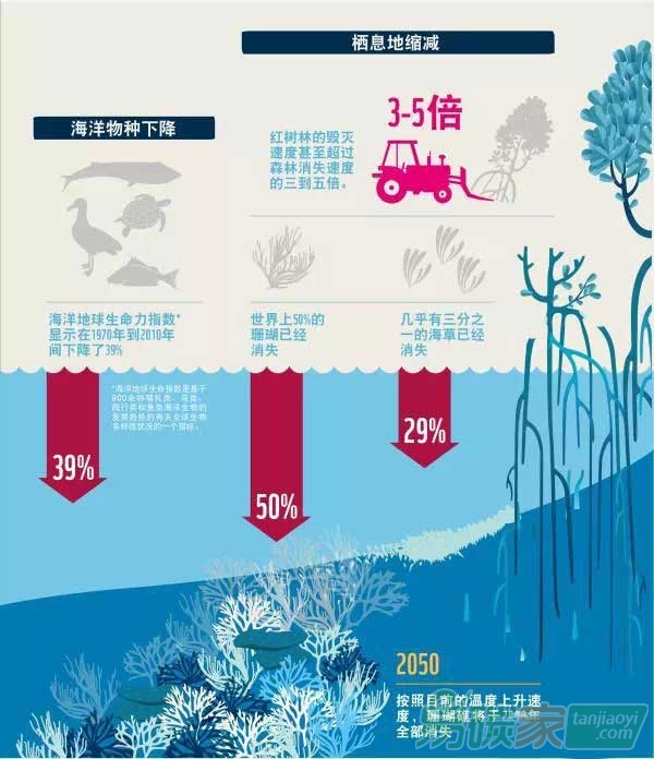 “全球海洋經濟在走下坡路”