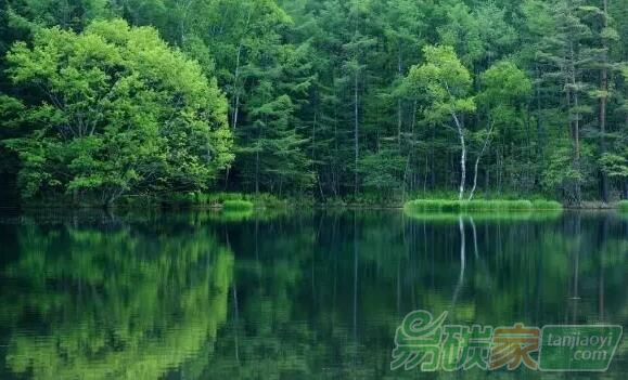 廣東林業(yè)碳普惠：以低碳發(fā)展探索精準(zhǔn)扶貧新模式