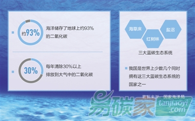 你知道“藍(lán)碳”是什么嗎？有多厲害？