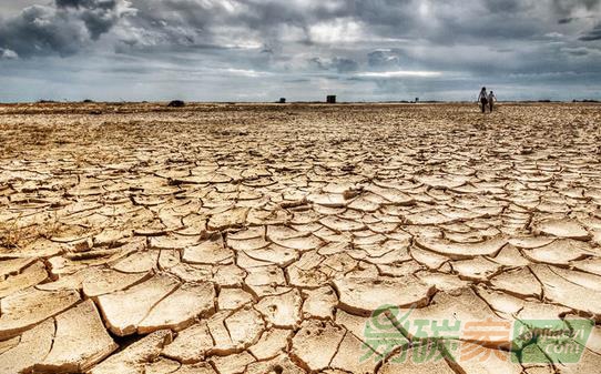 全球變暖、不正常降雪……氣候正重建適者生存法則？